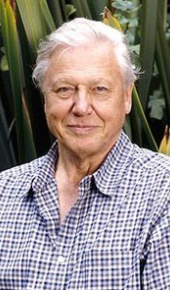 herec David Attenborough